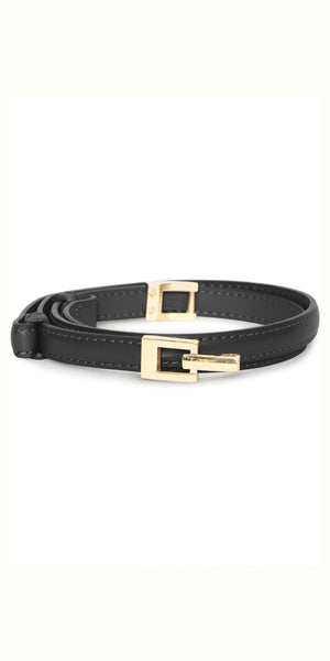 b young VIZANA Belt in Meteorite